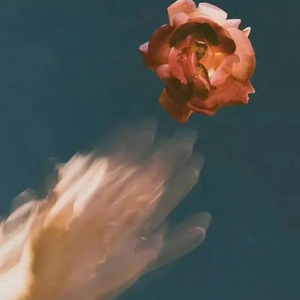 free性户土vidos亚洲
